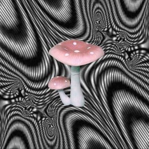 Meet your Posher, Lea